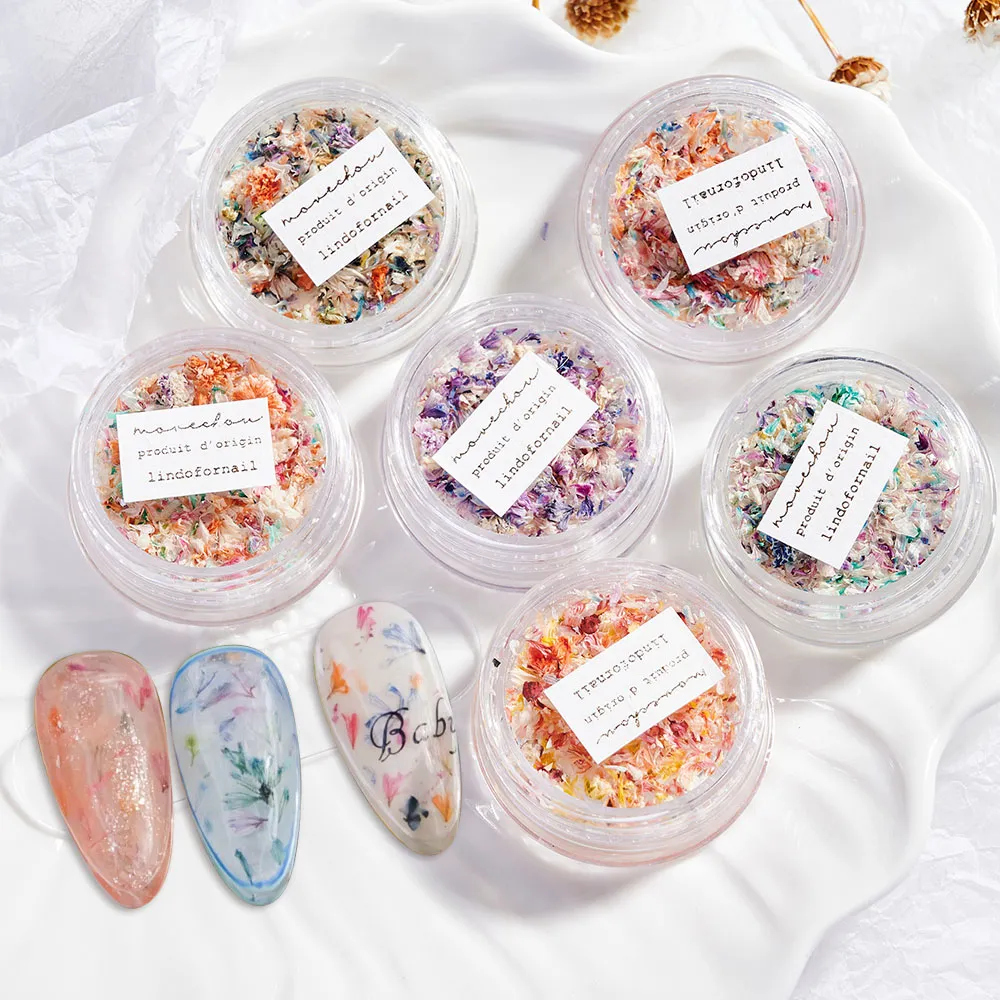 3D Mix Dried Flowers Nail Decorations: Summer Spring Charm for Gel Polish Manicures Leaf, Flower, and Jewelry Designs