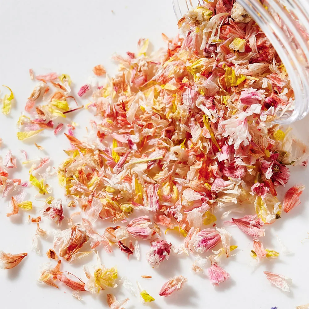3D Mix Dried Flowers Nail Decorations: Summer Spring Charm for Gel Polish Manicures Leaf, Flower, and Jewelry Designs